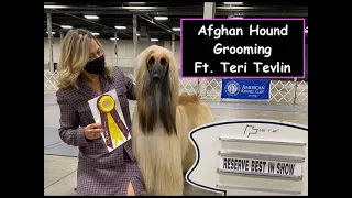 Afghan Hound Grooming ft  Teri Tevlin