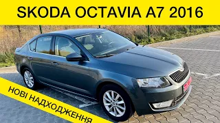 Skoda Octavia A7 2016 нові надходження по авто