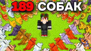 😱Я ПОЙМАЛ АБСОЛЮТНО Всех СОБАК В Minecraft Хардкор... 8/9 #minecraft