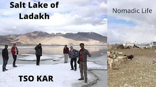 TSO-KAR LAKE Ladakh ।। High Altitude Salt Lake #lake #lakeview