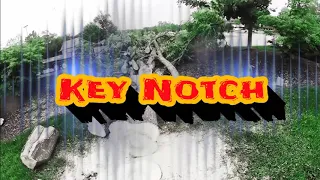 Tree Felling - Key Notch (Tongue And Grove) Demonstration