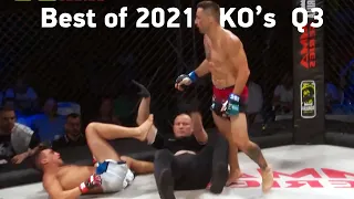 MMA's Best Knockouts of the 2021 | 3rd Quarter, HD