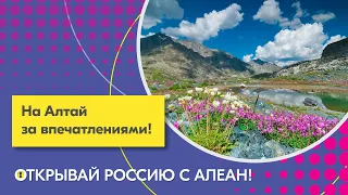 2 На Алтай за впечатлениями! Эфир проекта "Открывай Россию с АЛЕАН"