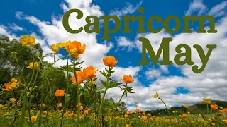 CAPRICORN MAY 2024 / Reasons why you can’t carry other people’s baggage!.....