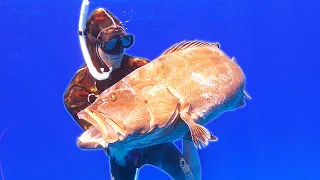 Spearing Grouper In The Bahamas! {CnC}