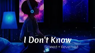 I Don't Know [Slowed + Reverbed] Guri Lahoria| Devilo| Latest Punjabi Songs 2023 | Lofi Songs