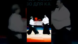 Steven Seagal Iriminage Aikido techniques