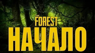 ДОБРО ПОЖАЛОВАТЬ В ЛЕС| THE FOREST