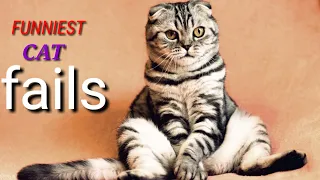 😹New Funniest CAT Fails || Cute and Lovely Cats Doing Crazy Things..!!  🤣🤣🤣