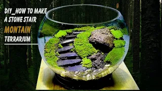 Making a hill view with moss & stone stair open terrarium