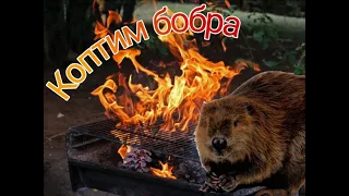 ХВОСТ БОБРА ГОРЯЧЕГО КОПЧЕНИЯ!!!!ДЕЛИКАТЕС ИЛИ НЕТ???