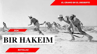 LA BATALLA DE BIR HAKEIM: "el grano en el desierto"  para detener el Afrika Korps. LA FRANCIA LIBRE