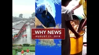 UNTV: Why News (August 21, 2019)