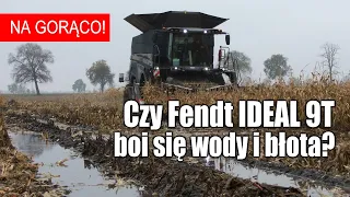 Czy Fendt IDEAL 9T boi się wody i błota? – NA GORĄCO!