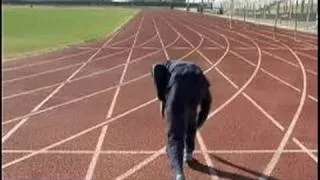 How to Train for the 400m Sprint : All About Position for the 400m Sprint