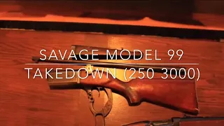 Model 99 Savage Takedown/compact