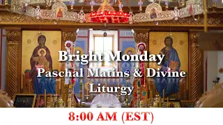 8:00 AM (EST) Bright Monday -