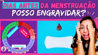 POSSO ENGRAVIDAR DIAS ANTES DA MENSTRUAÇÃO? | Boa Gravidez - Patrícia Moreira