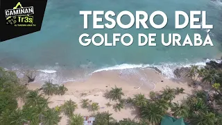 LA PLAYA SOÑADA DEL GOLFO DE URABÁ  || CaminanTr3s, El tercero eres tú!!