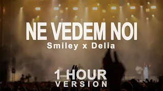 Smiley, Delia - Ne Vedem Noi (1 Hour)