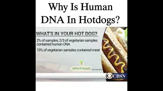 🌭 Unveiling the Truth: Human DNA in Hotdogs! 🧬 Did you know that a recent study by Clear Labs revea