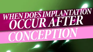 When Does Implantation Occur After Conception