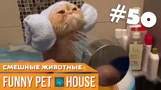 СМЕШНЫЕ ЖИВОТНЫЕ И ПИТОМЦЫ #50 АПРЕЛЬ 2019 [Funny Pet House] Смешные животные