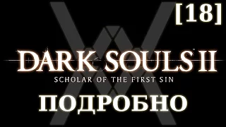 Dark Souls 2 подробно [18] - Темнолесье