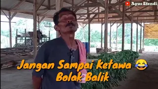 Story wa ngakak,mau ketawa takut dosa biar viral #ngakak