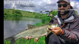 Трофейный жерех! Черноземье. Спиннинг. Леонидыч на рыбалке.