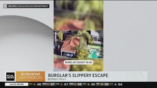 Caught on Video: Suspected burglar falls into pool while attempting escape in Beverly Hills