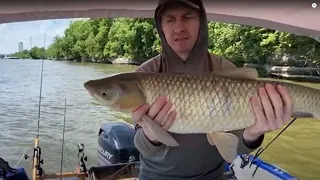 Live Carp challenge (only first 12 minutes of the stream)