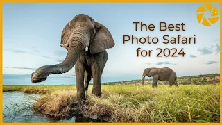 The Best PHOTO SAFARI for 2024