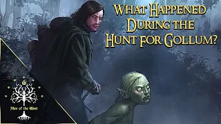 What Happened During the Hunt For Gollum?