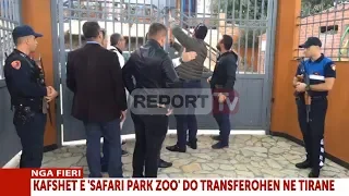 Fier, inspektorët hapin me forcë derën e "Safari Park', nis operacioni për transferimin e kafshëve