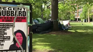 University of Michigan Palestinian Protest Encampment: Terrifying?