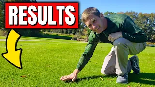 Secret Lawn Care Product Golf Courses Use REVEALED!