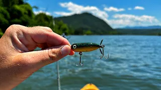 Big Fish on Small Lures!!  Cicada Hatch