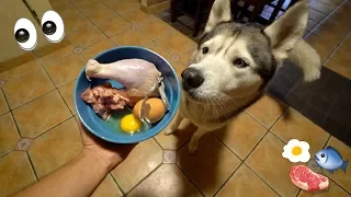 What Feeding Raw To My Husky Looks Like!