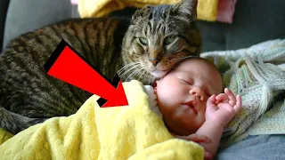 Кошка Машка спасла младенца