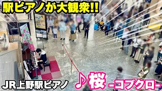 東京の駅ピアノで『桜（コブクロ）』を弾いたら、大観衆!! JR上野駅ピアノ
