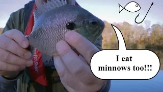 Fishing for Crappie with minnows!!!