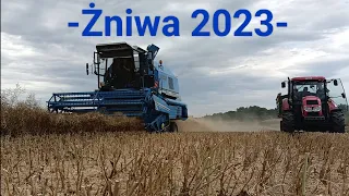 • Oporowe Żniwa // Bizon Rekord // Zetor Forterra 125 // Rzepak 2023 •