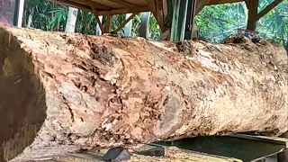Javanese jackfruit gold wood saw