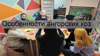 Особенности ангорских коз