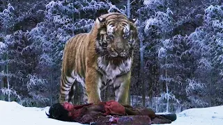 The last surviving tiger of Korea / The Tiger: An Old Hunter's Tale (Recap)