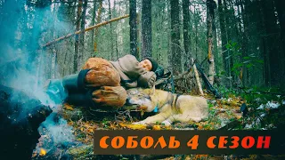 Соболь 4 сезон, 4 серия, Легкий соболь. И пусть весь мир подождет! Бежал к соболю прибежал к глухарю