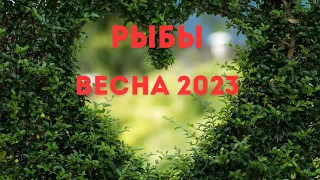 РЫБЫ🌈ВЕСНА 2023 года🍀МАРТ АПРЕЛЬ МАЙ🍀ГОРОСКОП ТАРО Ispirazione