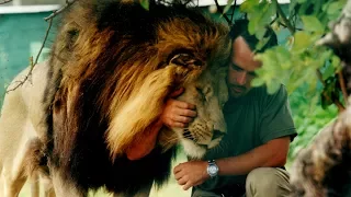 Part 1: Becoming The Lion Whisperer | The Lion Whisperer