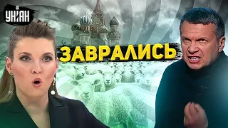 Соловьев и Скабеева запутались в своем вранье. Пропагандистам конец - Фейгин